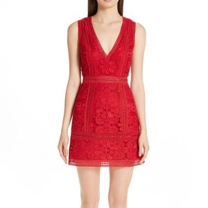 Alice + Olivia Zula Lace Party Dress 02468 NEW